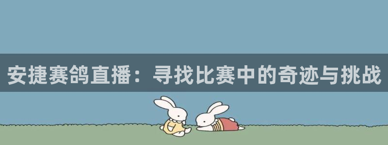 火凤体育直播：安捷赛鸽直播：寻找比赛中的奇迹与挑战