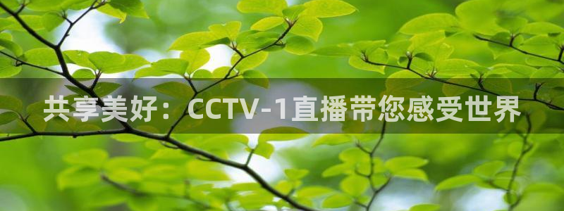火凤体育赛事直播：共享美好：CCTV-1直播带您感受世界