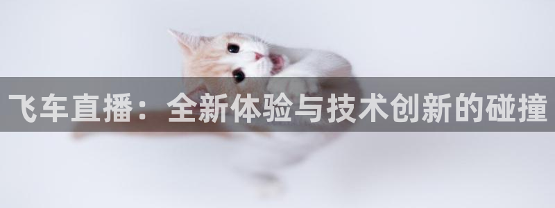 火凤免费观看体育直播：飞车直播：全新体验与技术创新的碰撞