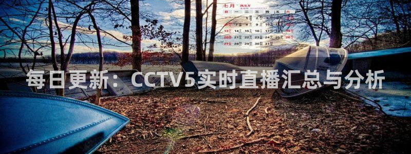 火凤体育直播高清入口：每日更新：CCTV5实时直播汇总与分析