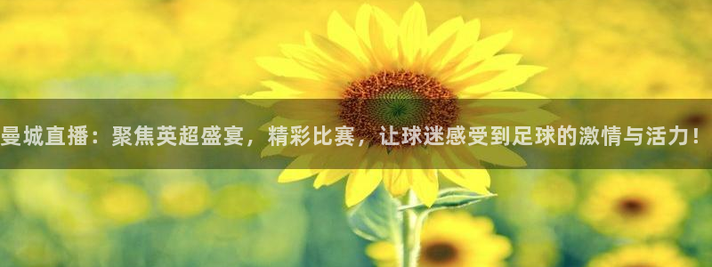 火凤免费观看体育直播