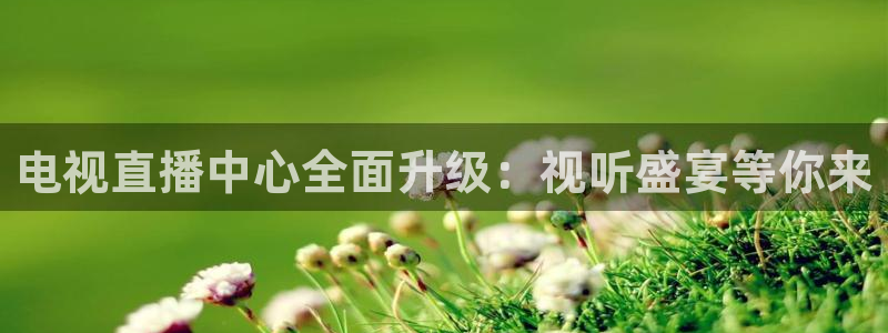 火凤直播nba：电视直播中心全面升级：视听盛宴等你来